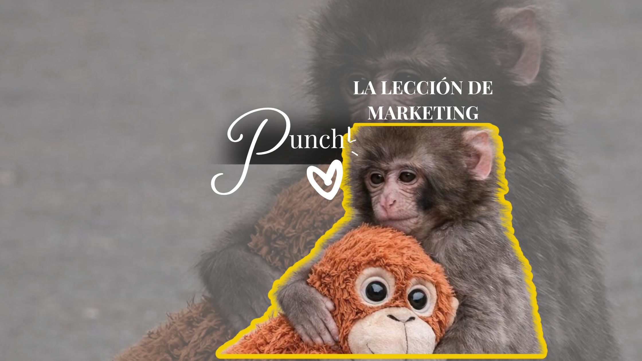 Punch y el marketing emocional